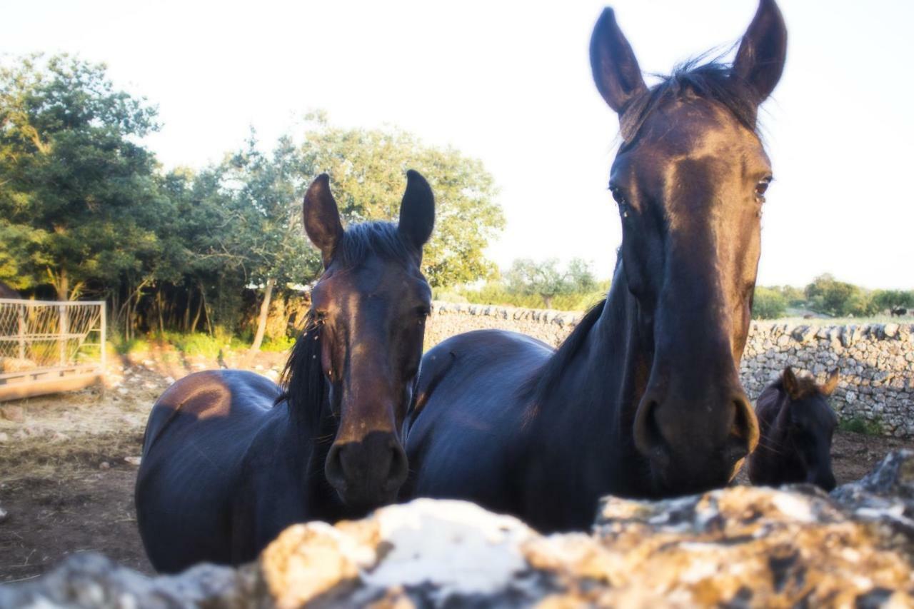 Trulli Sul Vignale In Masseria Santalachicca マルティナ・フランカ エクステリア 写真