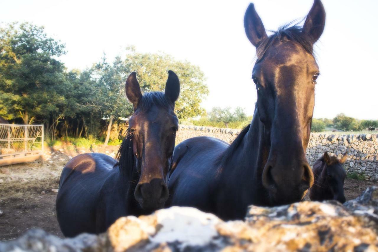 マルティナ・フランカ Trulli Sul Vignale In Masseria Santalachiccaヴィラ エクステリア 写真