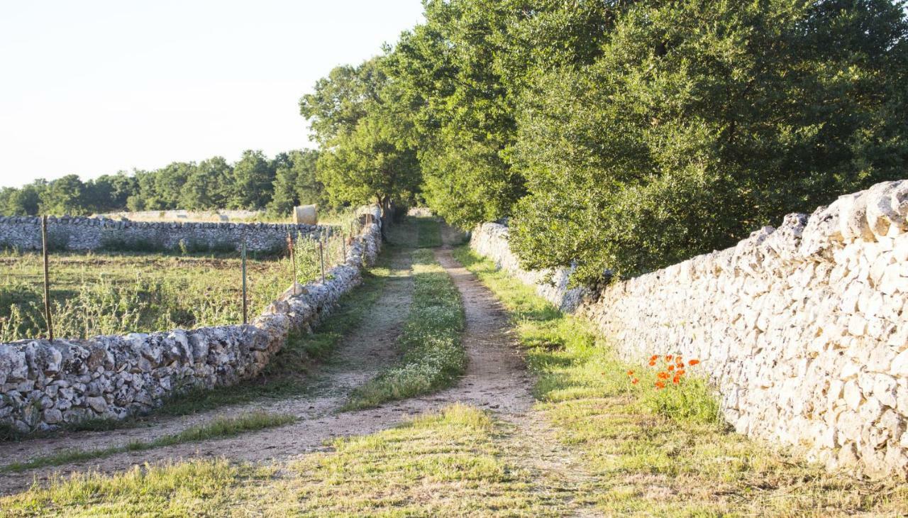 マルティナ・フランカ Trulli Sul Vignale In Masseria Santalachiccaヴィラ エクステリア 写真